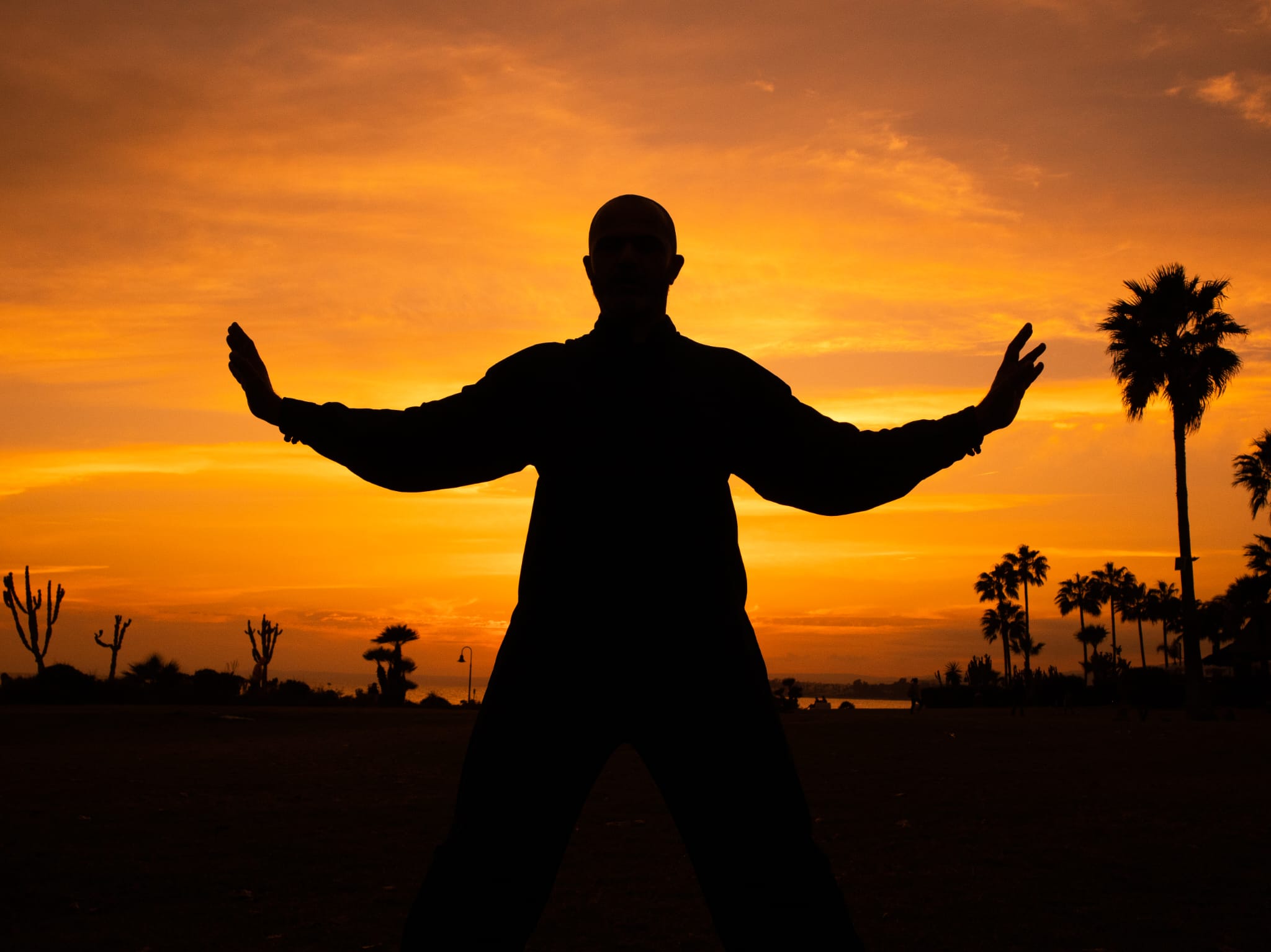 Tao Dao Camino del Alma